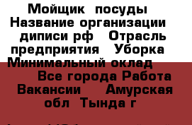 Мойщик  посуды › Название организации ­ диписи.рф › Отрасль предприятия ­ Уборка › Минимальный оклад ­ 20 000 - Все города Работа » Вакансии   . Амурская обл.,Тында г.